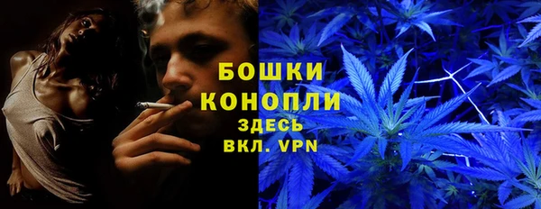 бошки Елизово