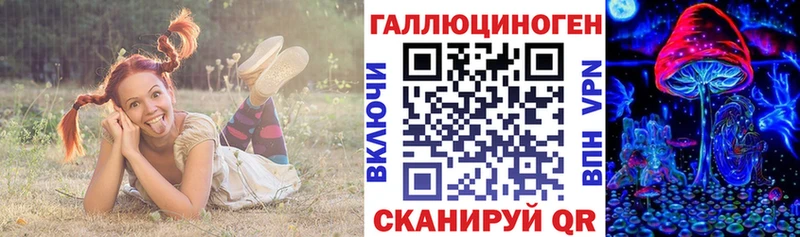 Псилоцибиновые грибы GOLDEN TEACHER  где купить наркоту  Карабаново 